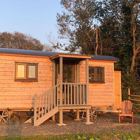 Lle Mary - Beautiful Views, Hot Tub, Secluded, Dog Welcome, Barmouth Llanddwywe Exteriör bild