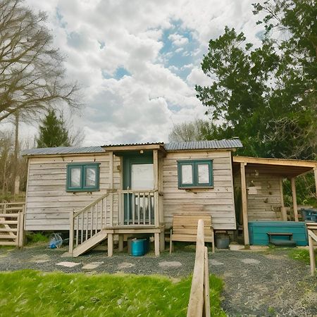 Lle Mary - Beautiful Views, Hot Tub, Secluded, Dog Welcome, Barmouth Llanddwywe Exteriör bild