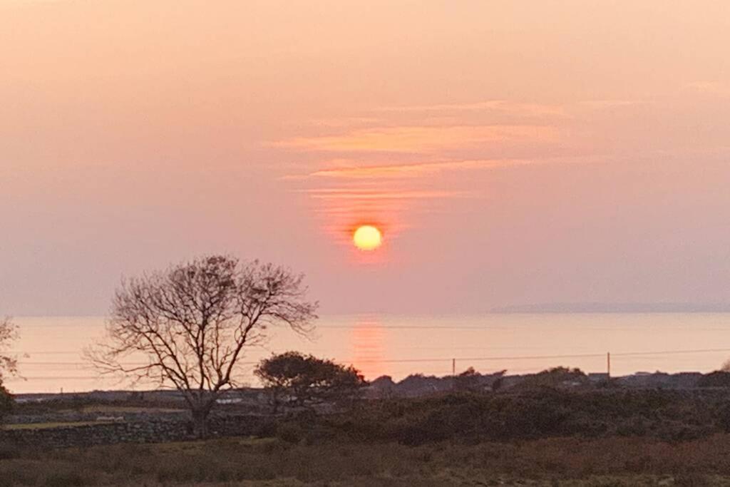 Lle Mary - Beautiful Views, Hot Tub, Secluded, Dog Welcome, Barmouth Llanddwywe Exteriör bild