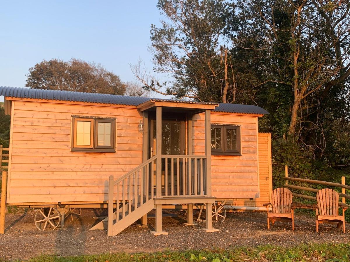 Lle Mary - Beautiful Views, Hot Tub, Secluded, Dog Welcome, Barmouth Llanddwywe Exteriör bild