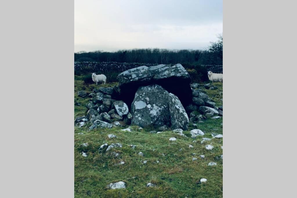 Lle Mary - Beautiful Views, Hot Tub, Secluded, Dog Welcome, Barmouth Llanddwywe Exteriör bild