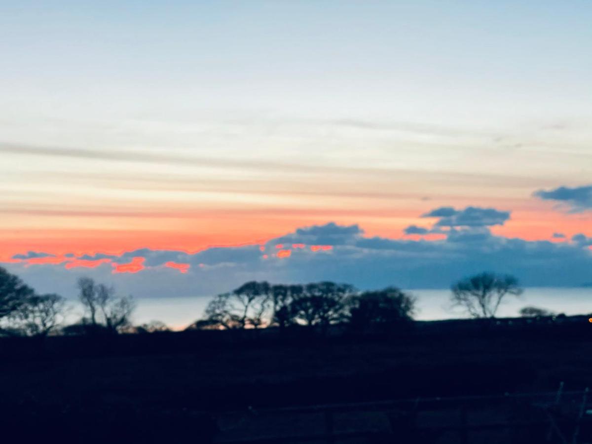 Lle Mary - Beautiful Views, Hot Tub, Secluded, Dog Welcome, Barmouth Llanddwywe Exteriör bild