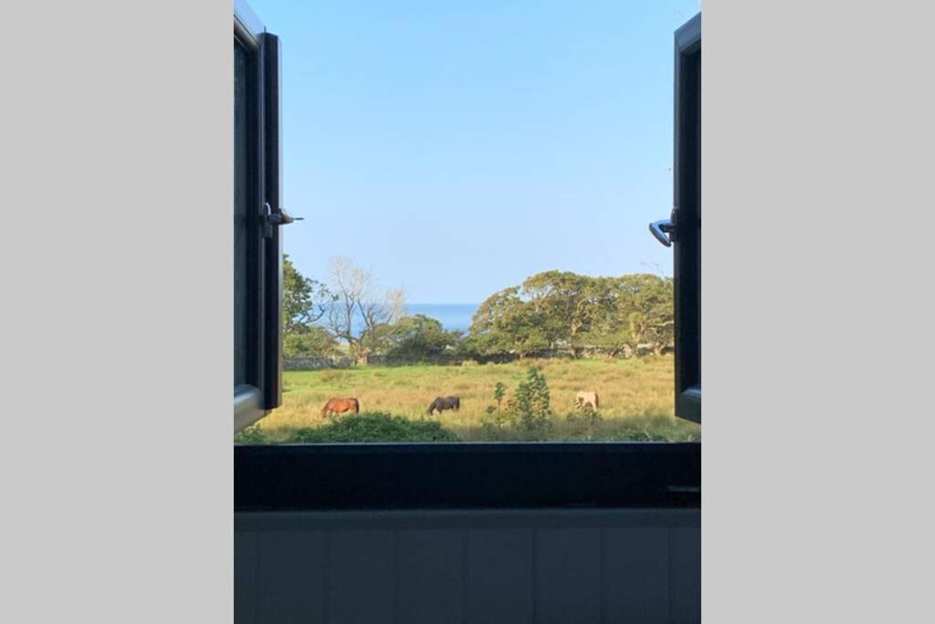 Lle Mary - Beautiful Views, Hot Tub, Secluded, Dog Welcome, Barmouth Llanddwywe Exteriör bild